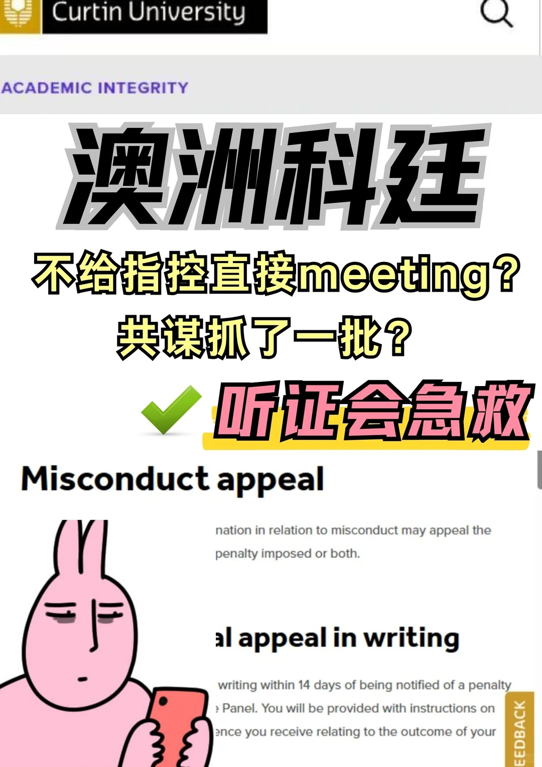 澳洲学术共谋了听证会咋办啊？能解决