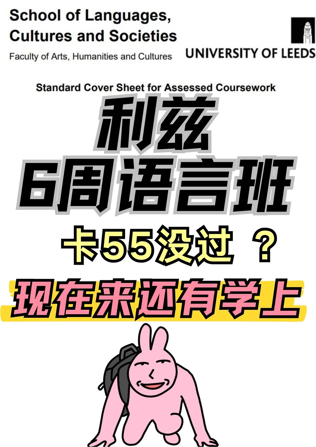 刚出分！ 6周语言班挂的直接来！我帮你