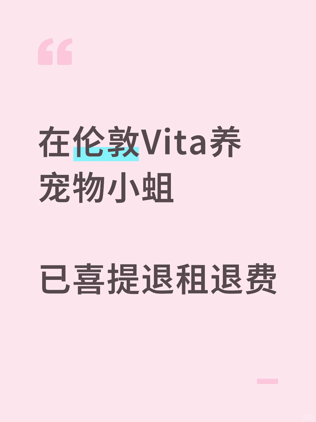 在伦敦vita公寓养蛆，已提前退租