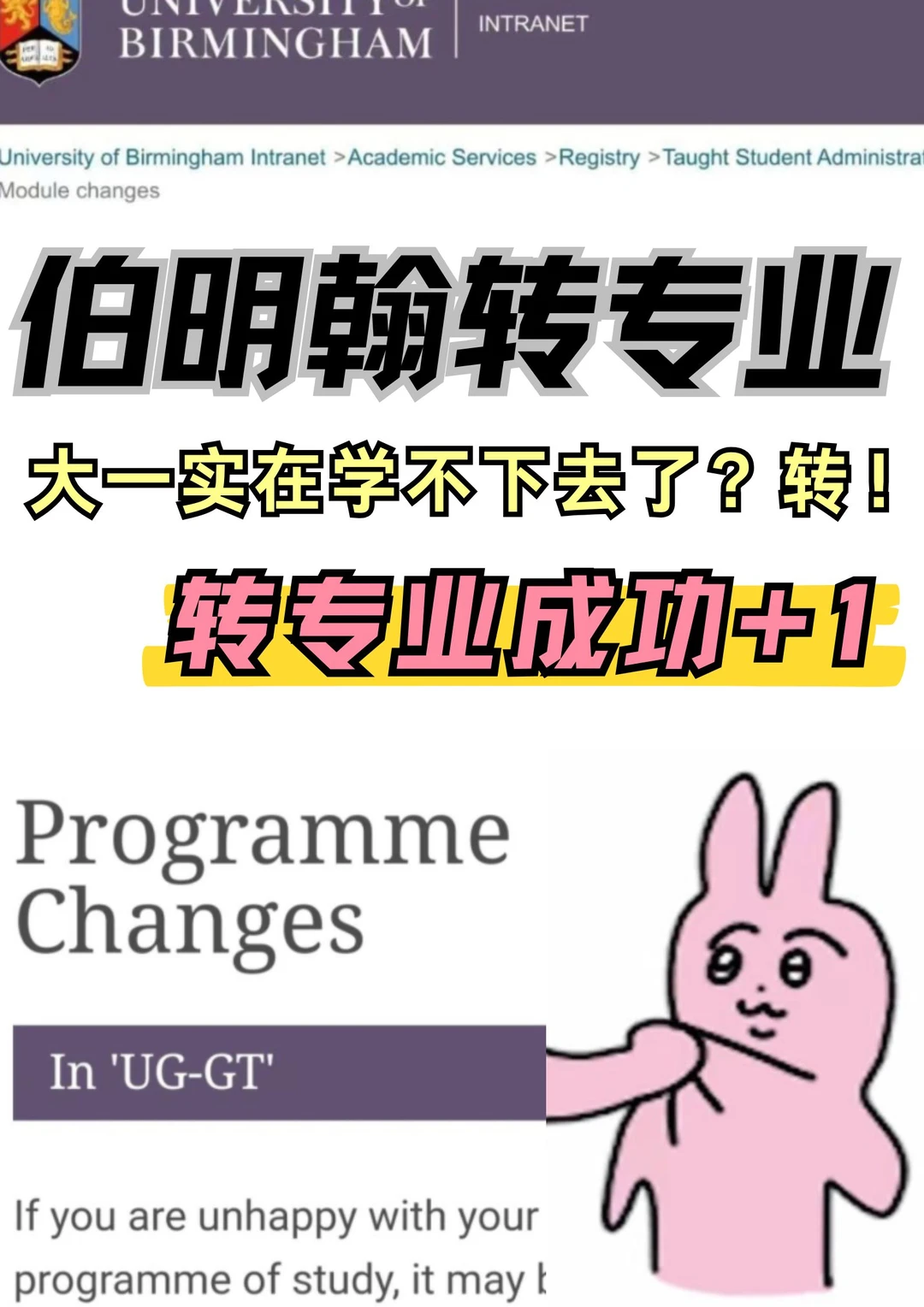 伯明翰大一学不下去了来转专业成功咯！