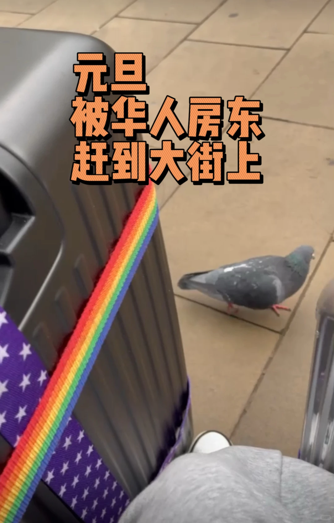元旦当天，被伦敦华人房东踢出公寓