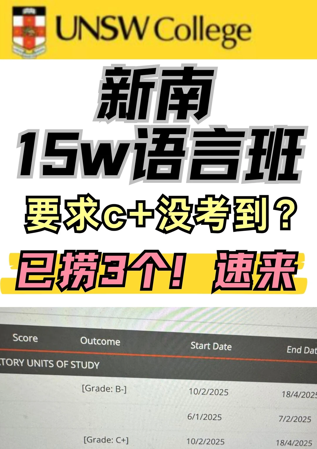 新南15周语言班要求c+没考到！我正在捞