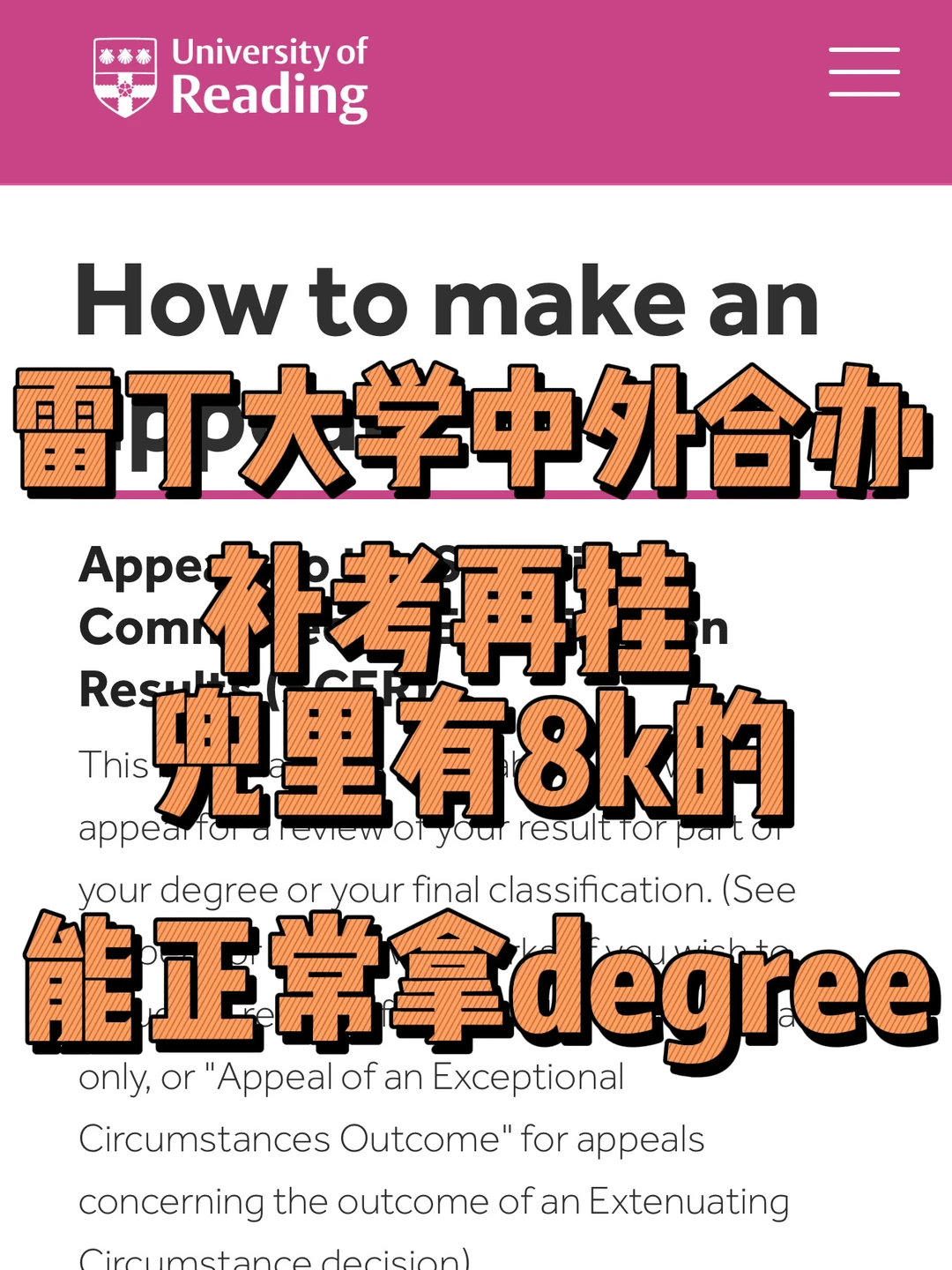 雷丁大学南信大中外合办补考二挂,我来捞