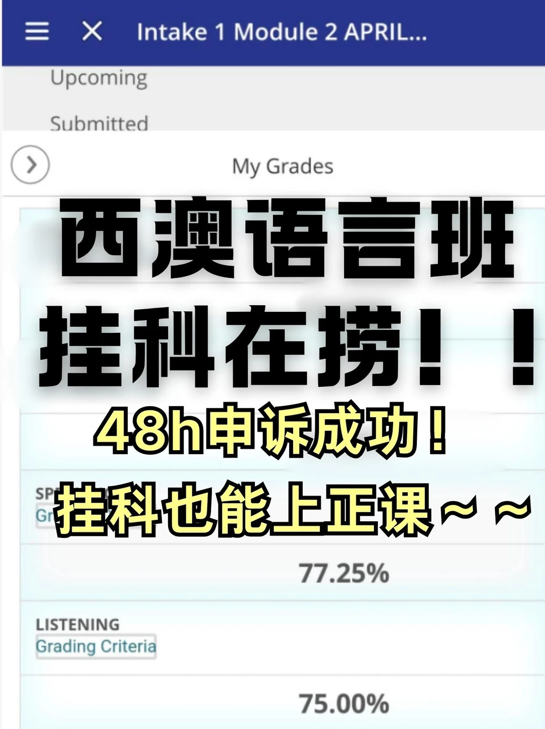 UWA语言班在玩我吗。。说挂就挂