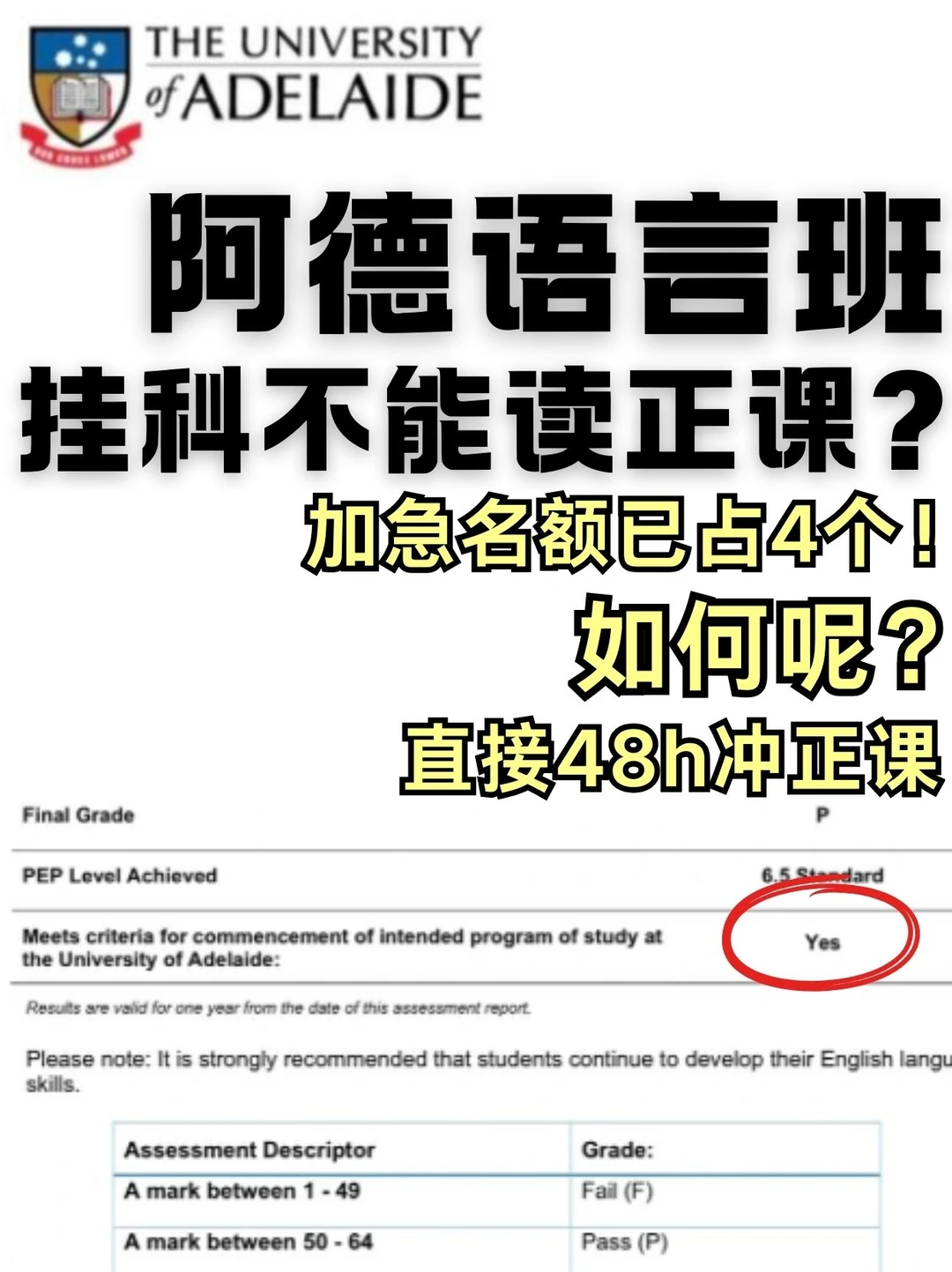 阿德你。。麻绳专挑细处断,把我挂了啥意思